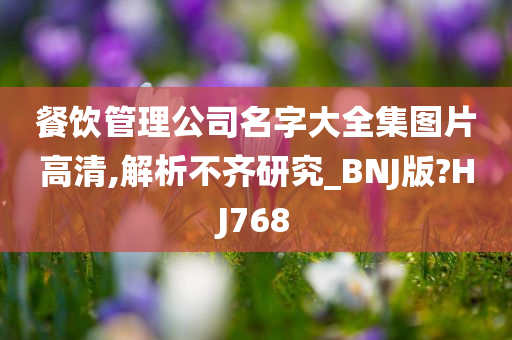 餐饮管理公司名字大全集图片高清,解析不齐研究_BNJ版?HJ768