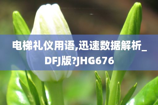 电梯礼仪用语,迅速数据解析_DFJ版?JHG676