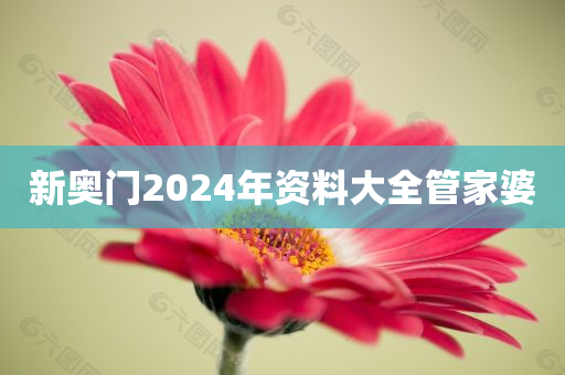 新奥门2024年资料大全管家婆