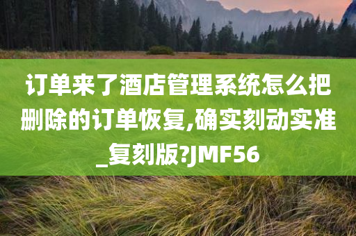 订单来了酒店管理系统怎么把删除的订单恢复,确实刻动实准_复刻版?JMF56