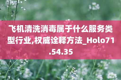 飞机清洗消毒属于什么服务类型行业,权威诠释方法_Holo71.54.35