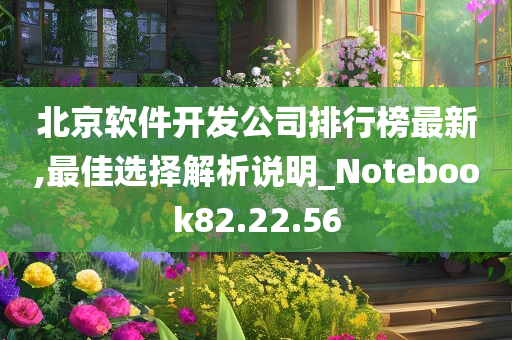 北京软件开发公司排行榜最新,最佳选择解析说明_Notebook82.22.56