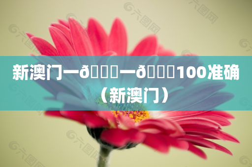 新澳门一🐎一🐎100准确（新澳门）