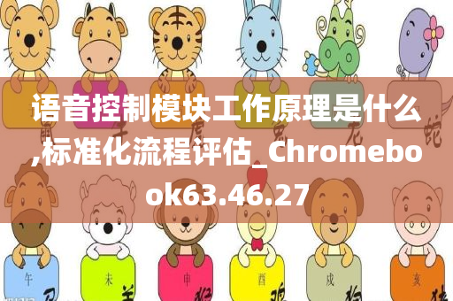 语音控制模块工作原理是什么,标准化流程评估_Chromebook63.46.27