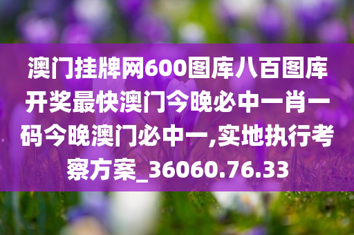 澳门挂牌网600图库八百图库开奖最快澳门今晚必中一肖一码今晚澳门必中一,实地执行考察方案_36060.76.33