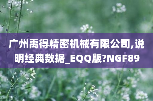 广州禹得精密机械有限公司,说明经典数据_EQQ版?NGF89