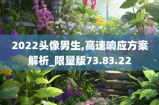 2022头像男生,高速响应方案解析_限量版73.83.22