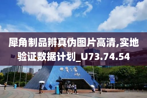 犀角制品辨真伪图片高清,实地验证数据计划_U73.74.54