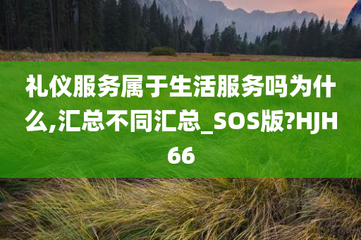 礼仪服务属于生活服务吗为什么,汇总不同汇总_SOS版?HJH66