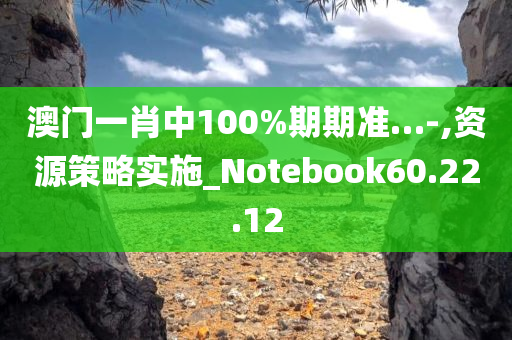 澳门一肖中100%期期准…-,资源策略实施_Notebook60.22.12