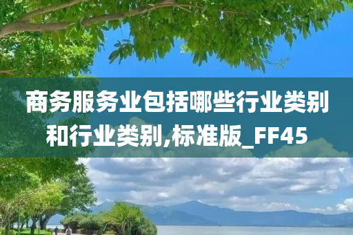 商务服务业包括哪些行业类别和行业类别,标准版_FF45