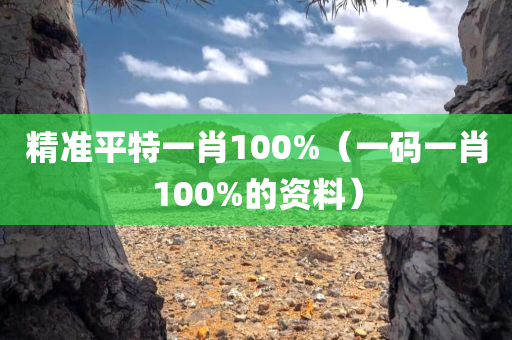 精准平特一肖100%（一码一肖100%的资料）