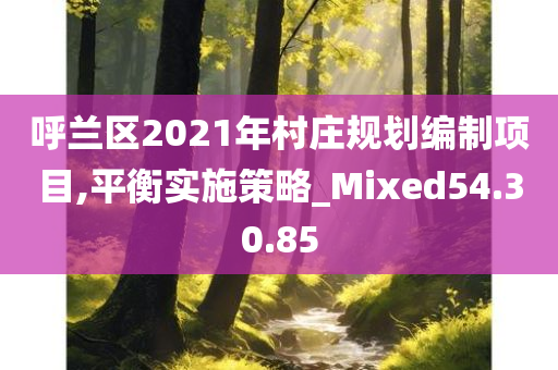 呼兰区2021年村庄规划编制项目,平衡实施策略_Mixed54.30.85