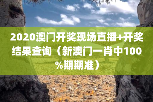 2020澳门开奖现场直播+开奖结果查询（新澳门一肖中100%期期准）