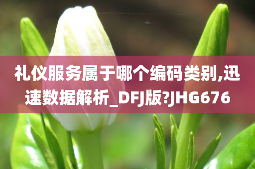 礼仪服务属于哪个编码类别,迅速数据解析_DFJ版?JHG676