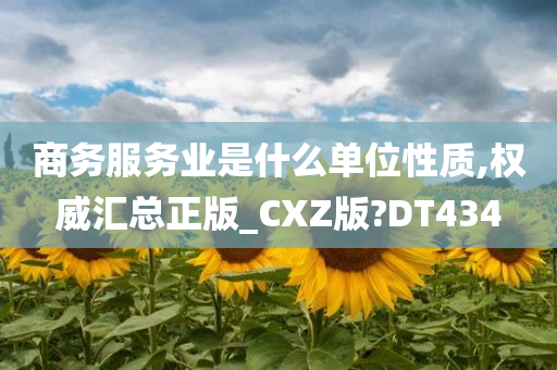 商务服务业是什么单位性质,权威汇总正版_CXZ版?DT434