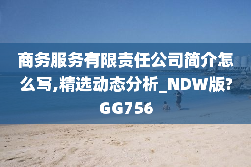 商务服务有限责任公司简介怎么写,精选动态分析_NDW版?GG756