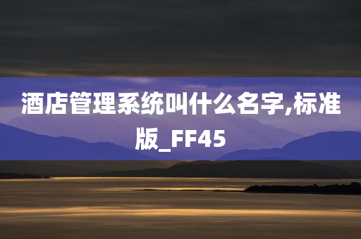 酒店管理系统叫什么名字,标准版_FF45