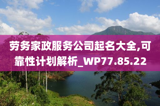 劳务家政服务公司起名大全,可靠性计划解析_WP77.85.22