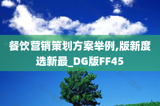 餐饮营销策划方案举例,版新度选新最_DG版FF45