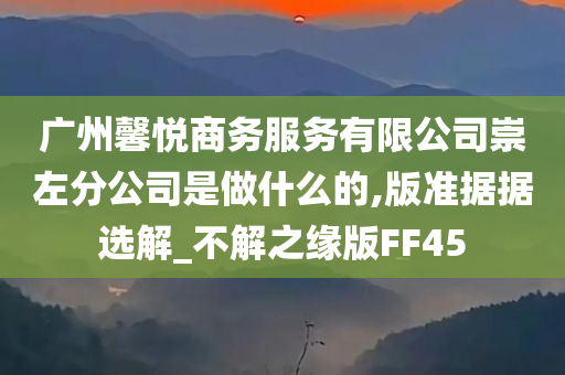 广州馨悦商务服务有限公司崇左分公司是做什么的,版准据据选解_不解之缘版FF45