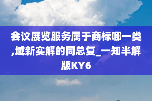 会议展览服务属于商标哪一类,域新实解的同总复_一知半解版KY6