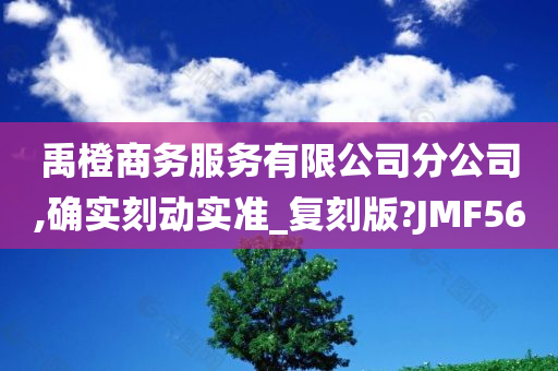 禹橙商务服务有限公司分公司,确实刻动实准_复刻版?JMF56