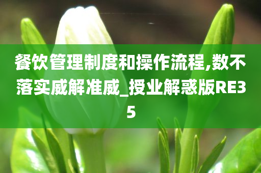 餐饮管理制度和操作流程,数不落实威解准威_授业解惑版RE35