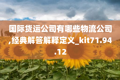 国际货运公司有哪些物流公司,经典解答解释定义_kit71.94.12