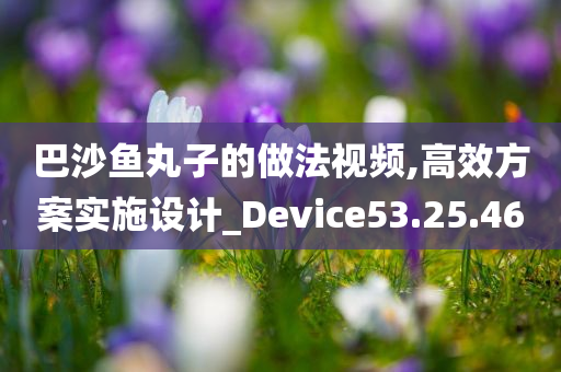 巴沙鱼丸子的做法视频,高效方案实施设计_Device53.25.46