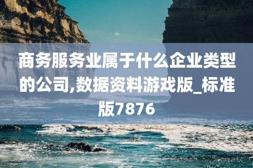 商务服务业属于什么企业类型的公司,数据资料游戏版_标准版7876