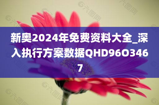 新奥2024年免费资料大全_深入执行方案数据QHD96O3467