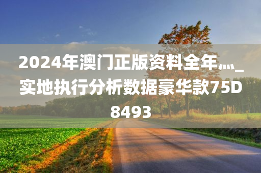 2024年澳门正版资料全年灬_实地执行分析数据豪华款75D8493