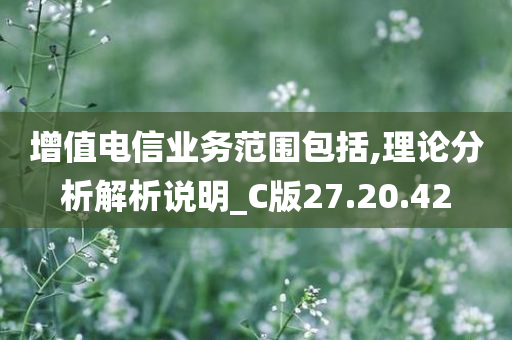 增值电信业务范围包括,理论分析解析说明_C版27.20.42