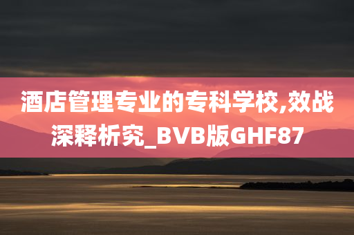 酒店管理专业的专科学校,效战深释析究_BVB版GHF87