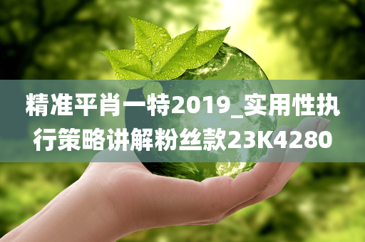 精准平肖一特2019_实用性执行策略讲解粉丝款23K4280