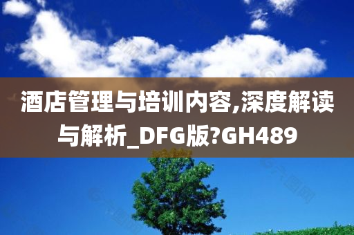 酒店管理与培训内容,深度解读与解析_DFG版?GH489