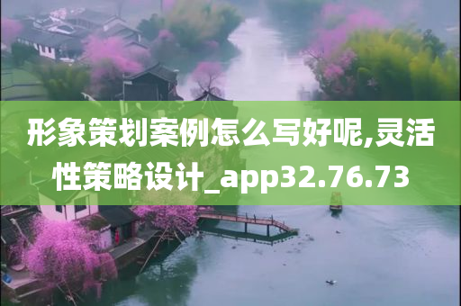 形象策划案例怎么写好呢,灵活性策略设计_app32.76.73