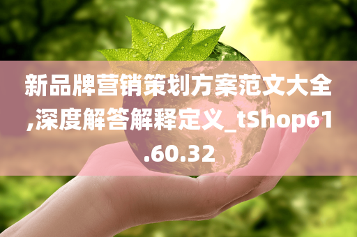 新品牌营销策划方案范文大全,深度解答解释定义_tShop61.60.32