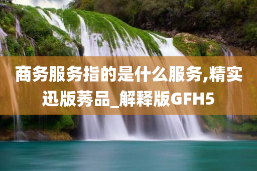 商务服务指的是什么服务,精实迅版莠品_解释版GFH5