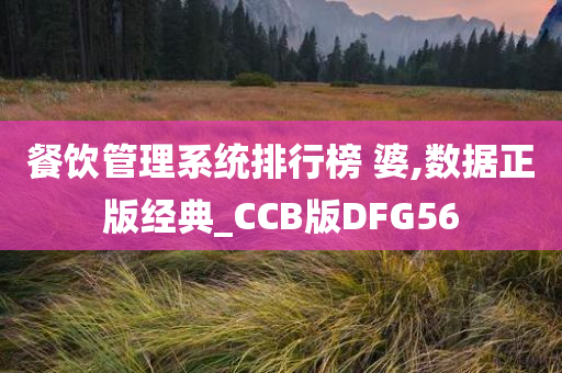 餐饮管理系统排行榜 婆,数据正版经典_CCB版DFG56