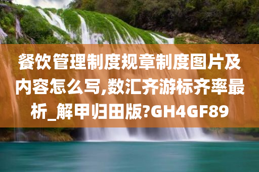 餐饮管理制度规章制度图片及内容怎么写,数汇齐游标齐率最析_解甲归田版?GH4GF89