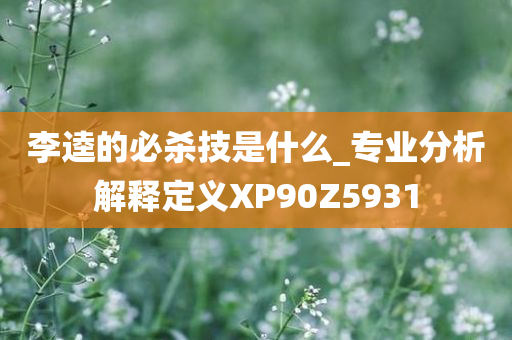 李逵的必杀技是什么_专业分析解释定义XP90Z5931