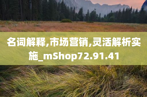 名词解释,市场营销,灵活解析实施_mShop72.91.41