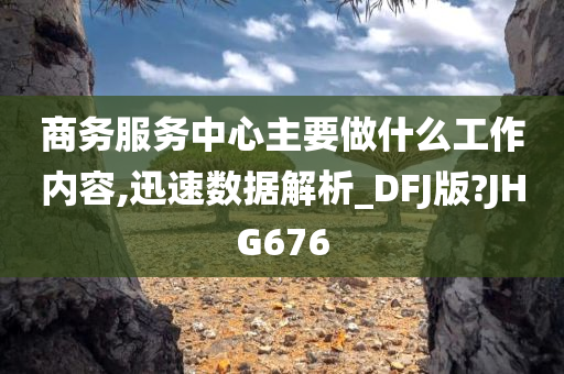 商务服务中心主要做什么工作内容,迅速数据解析_DFJ版?JHG676