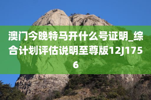 澳门今晚特马开什么号证明_综合计划评估说明至尊版12J1756