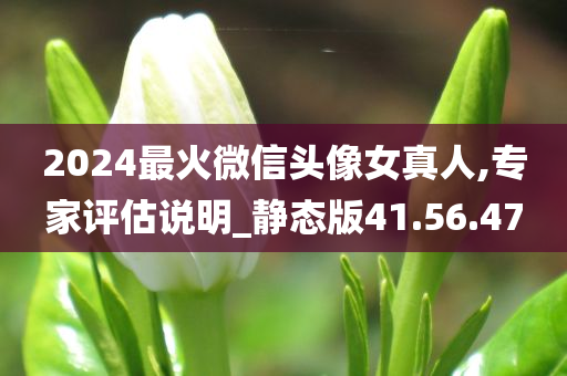 2024最火微信头像女真人,专家评估说明_静态版41.56.47