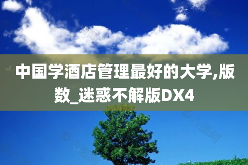 中国学酒店管理最好的大学,版数_迷惑不解版DX4