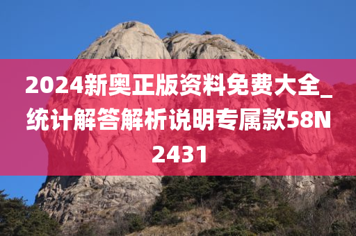 2024新奥正版资料免费大全_统计解答解析说明专属款58N2431