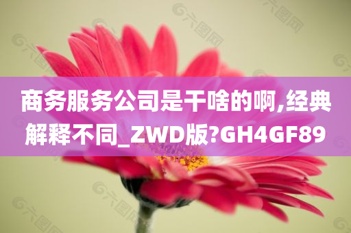 商务服务公司是干啥的啊,经典解释不同_ZWD版?GH4GF89